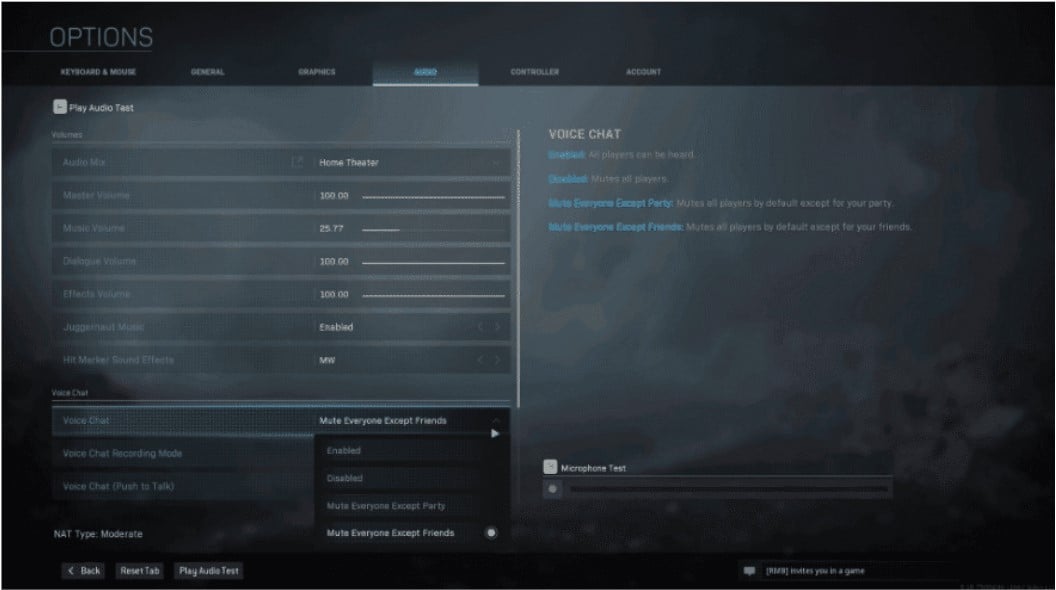warzone voice chat settings