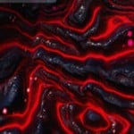 Apocalypse